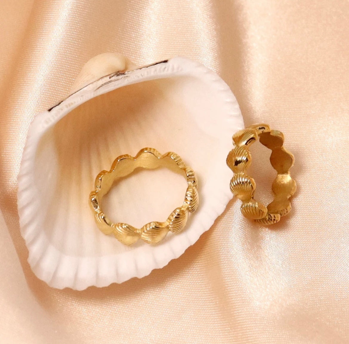 Shell Ring